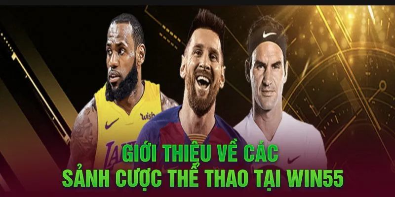 Thể thao tại Win55 được nhiều người yêu thích