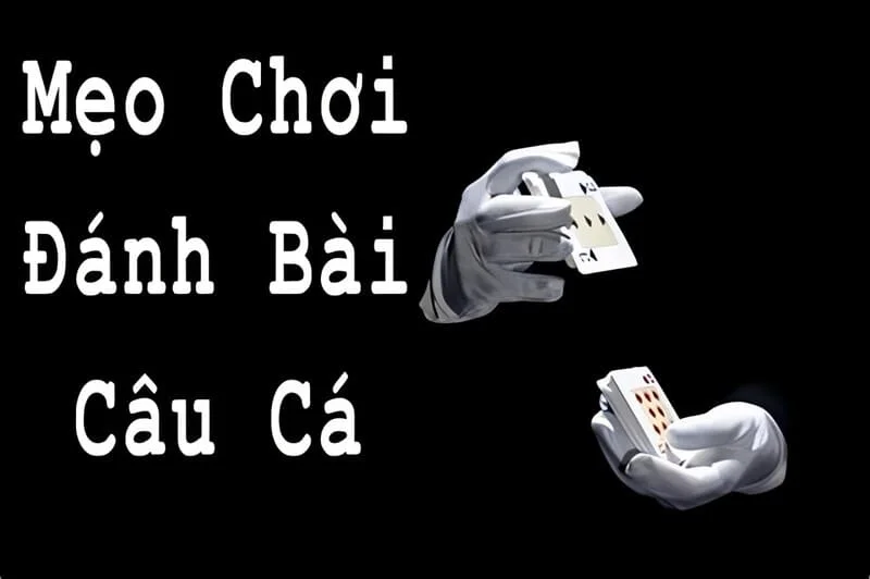 Mẹo chơi đánh bài câu cá nhanh thắng