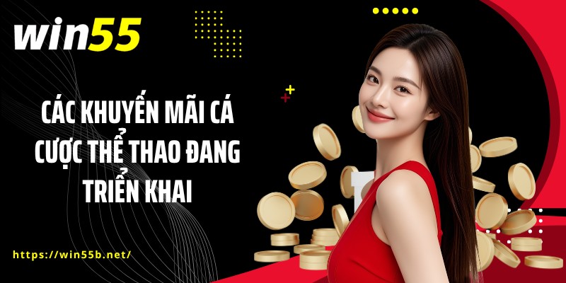 Các khuyến mãi cá cược thể thao đang triển khai