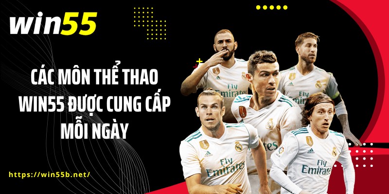 Các môn thể thao WIN55 được cung cấp mỗi ngày