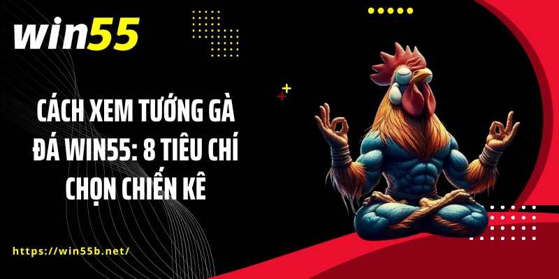 Cách Xem Tướng Gà Đá WIN55: 8 Tiêu Chí Chọn Chiến Kê