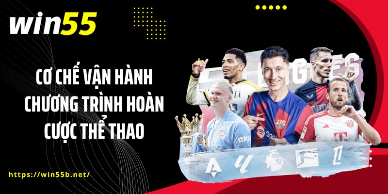 Cơ chế vận hành chương trình hoàn cược thể thao