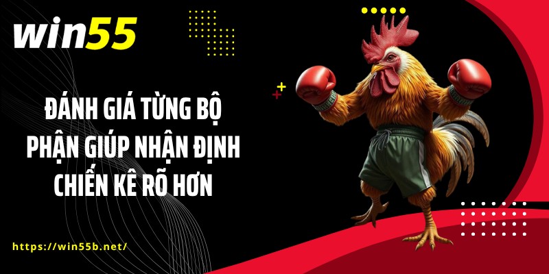 Đánh giá từng bộ phận giúp nhận định chiến kê rõ hơn
